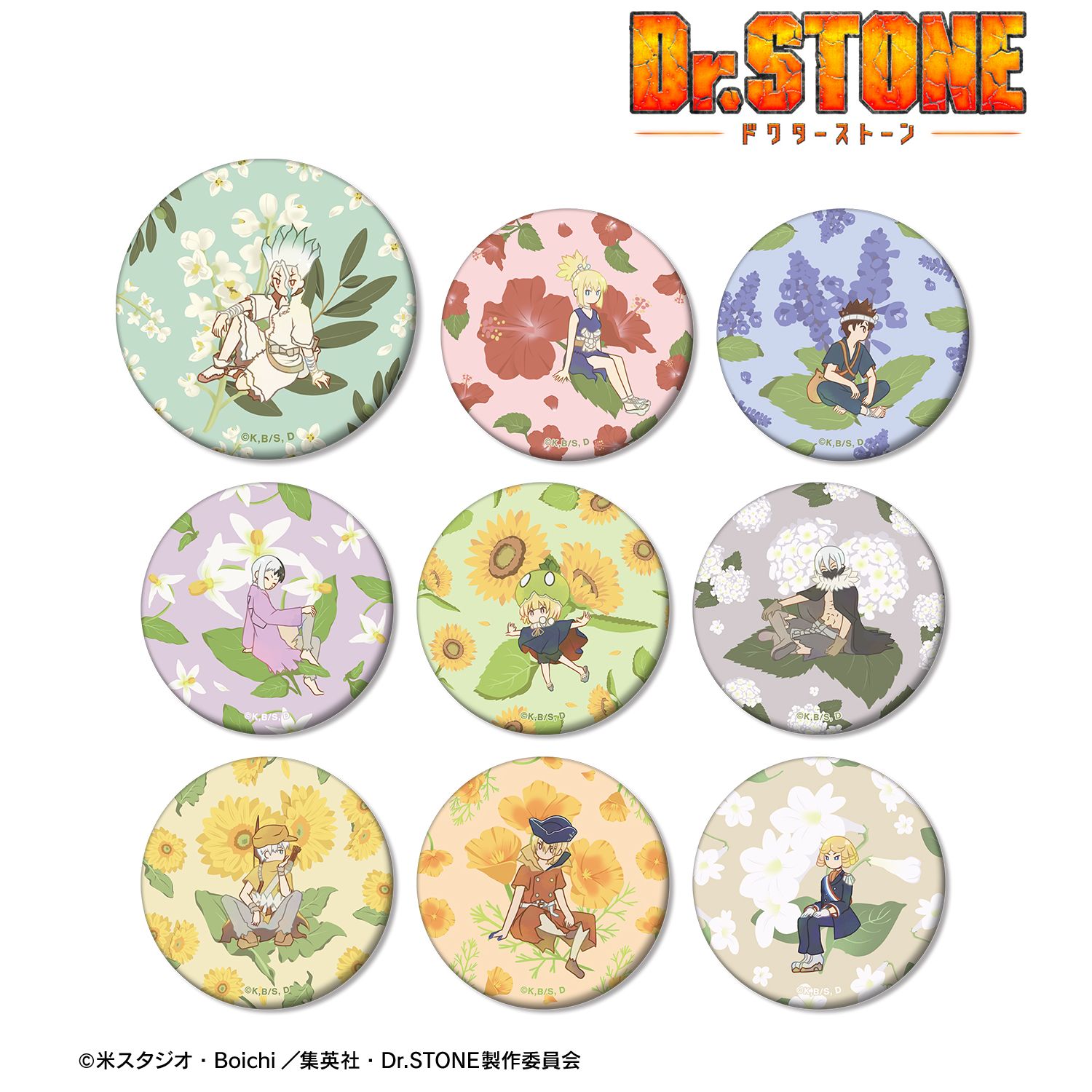 TVアニメ「Dr.STONE」 トレーディング Botania マット缶バッジ(単位/単品) Image 2 | AniSmile