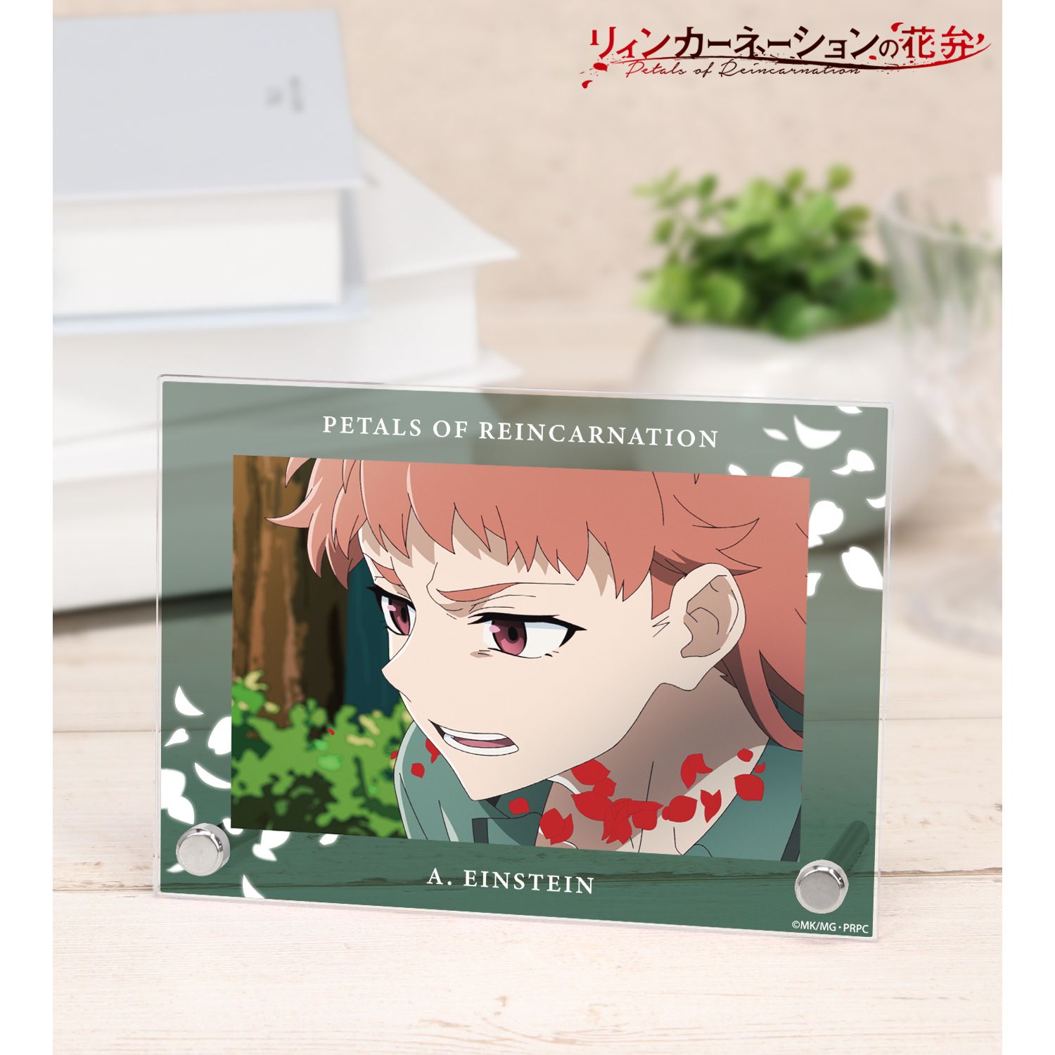TVアニメ『リィンカーネーションの花弁』 A・アインシュタイン 場面写A6アクリルパネル 图片 2 | AniSmile