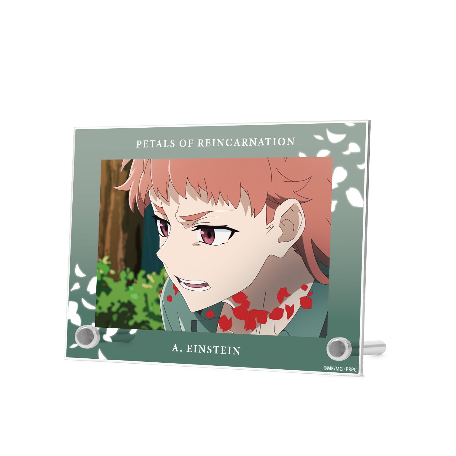 TVアニメ『リィンカーネーションの花弁』 A・アインシュタイン 場面写A6アクリルパネル 图片 3 | AniSmile