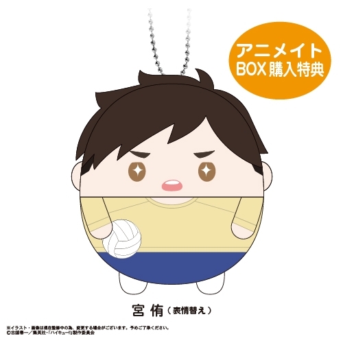 ハイキュー!! ふわコロりん11 クローズドBOX Image 3 | AniSmile