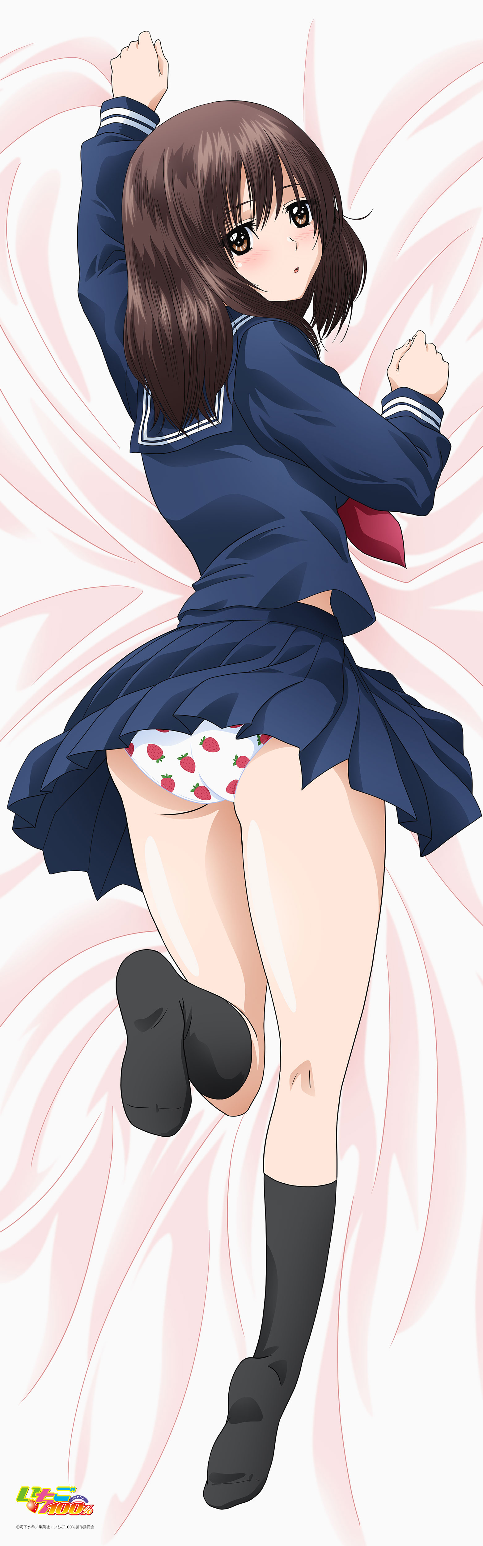 いちご100% 【描き下ろし】プレミアム抱き枕カバー 東城綾 Image 2 | AniSmile