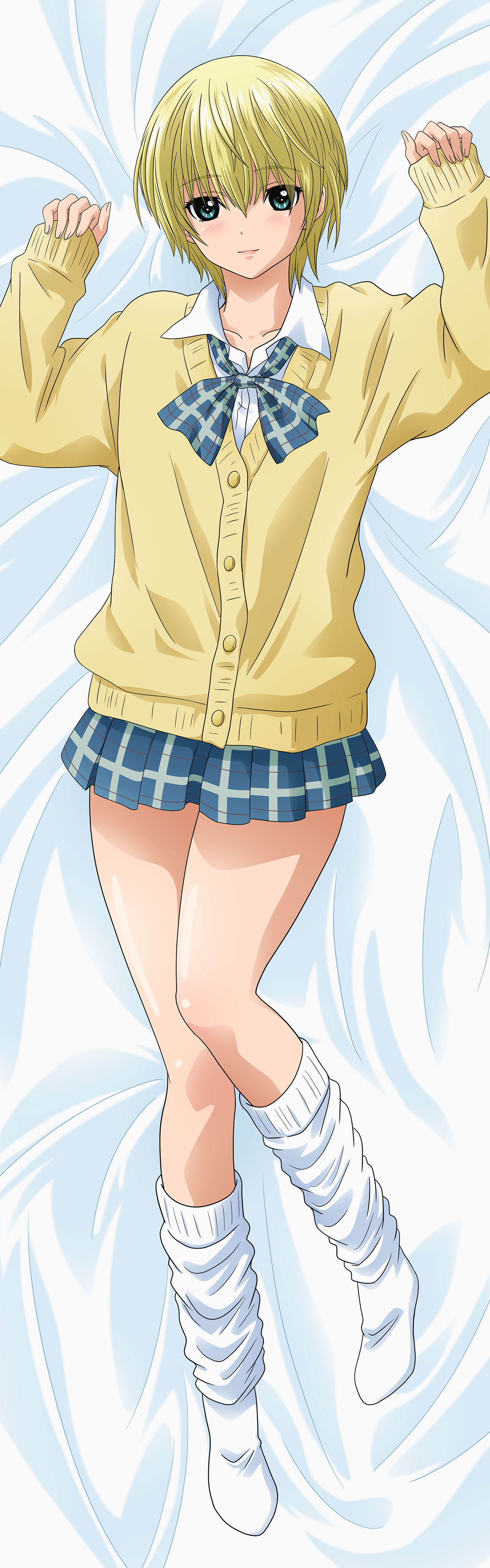 いちご100% 【描き下ろし】プレミアム抱き枕カバー 西野つかさ - AniSmile