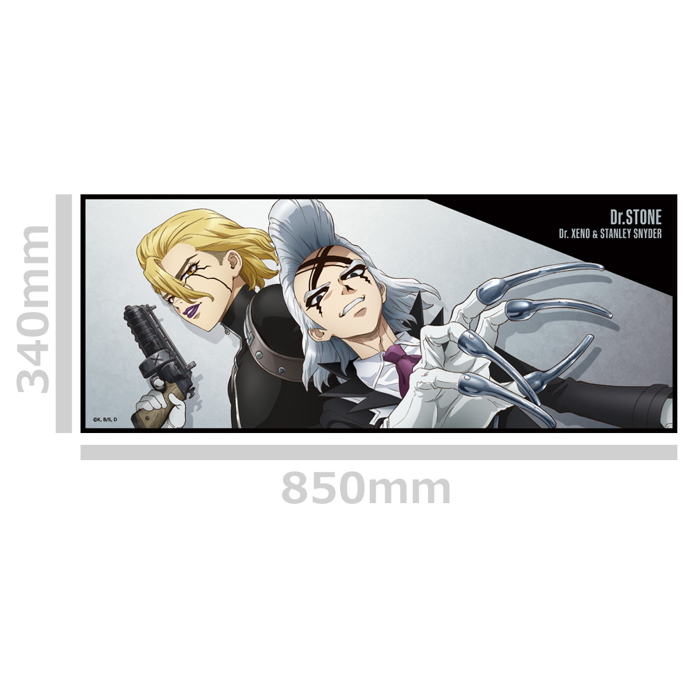 Dr.STONE 缶バッジ付ハイブリッドタオル ゼノ&スタンリー 画像 3 | AniSmile