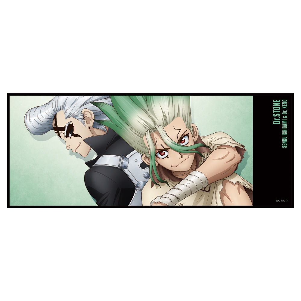 Dr.STONE 缶バッジ付ハイブリッドタオル 千空&ゼノ - AniSmile