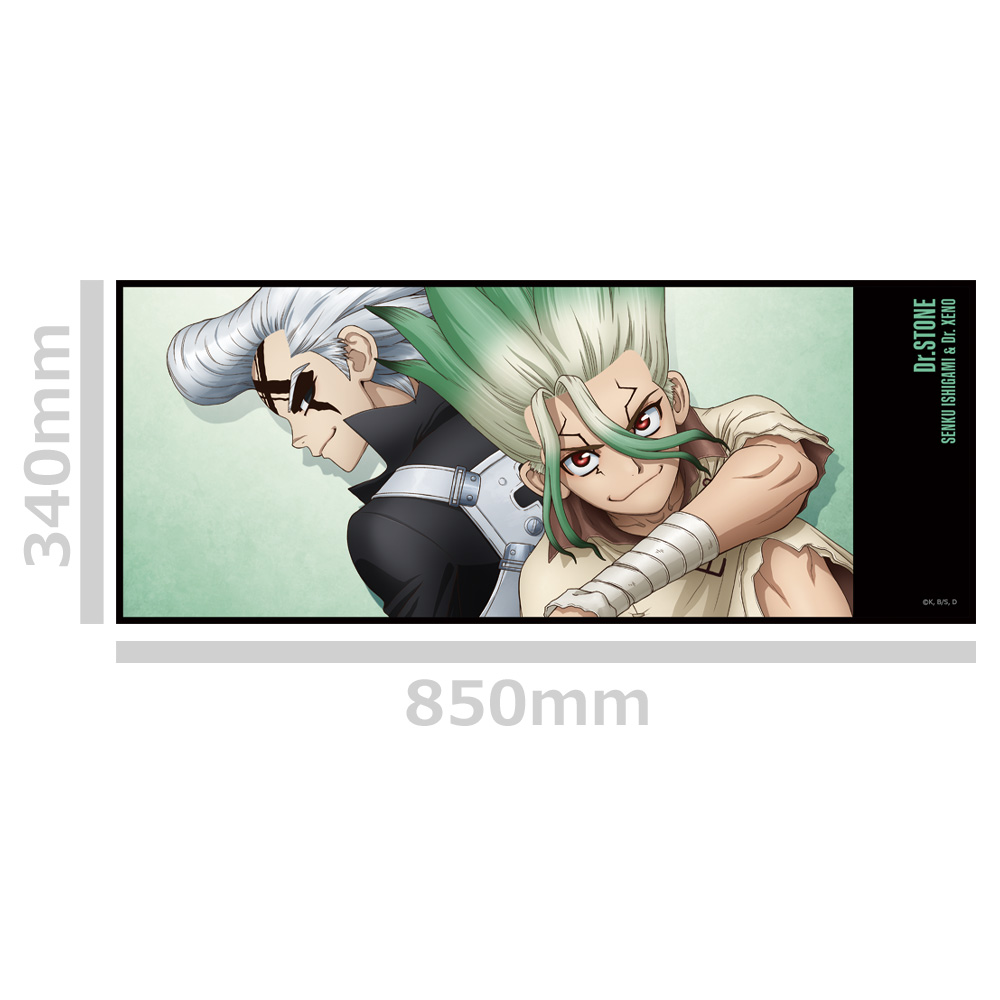 Dr.STONE 缶バッジ付ハイブリッドタオル 千空&ゼノ 画像 3 | AniSmile