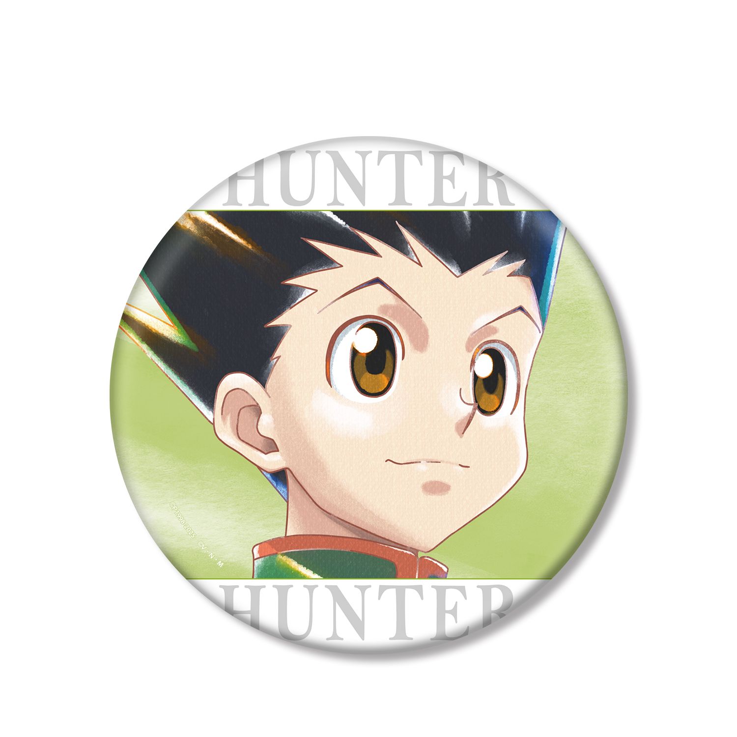 HUNTER×HUNTER ゴン Ani-Art aqua label 第2弾 BIG缶バッジ - AniSmile