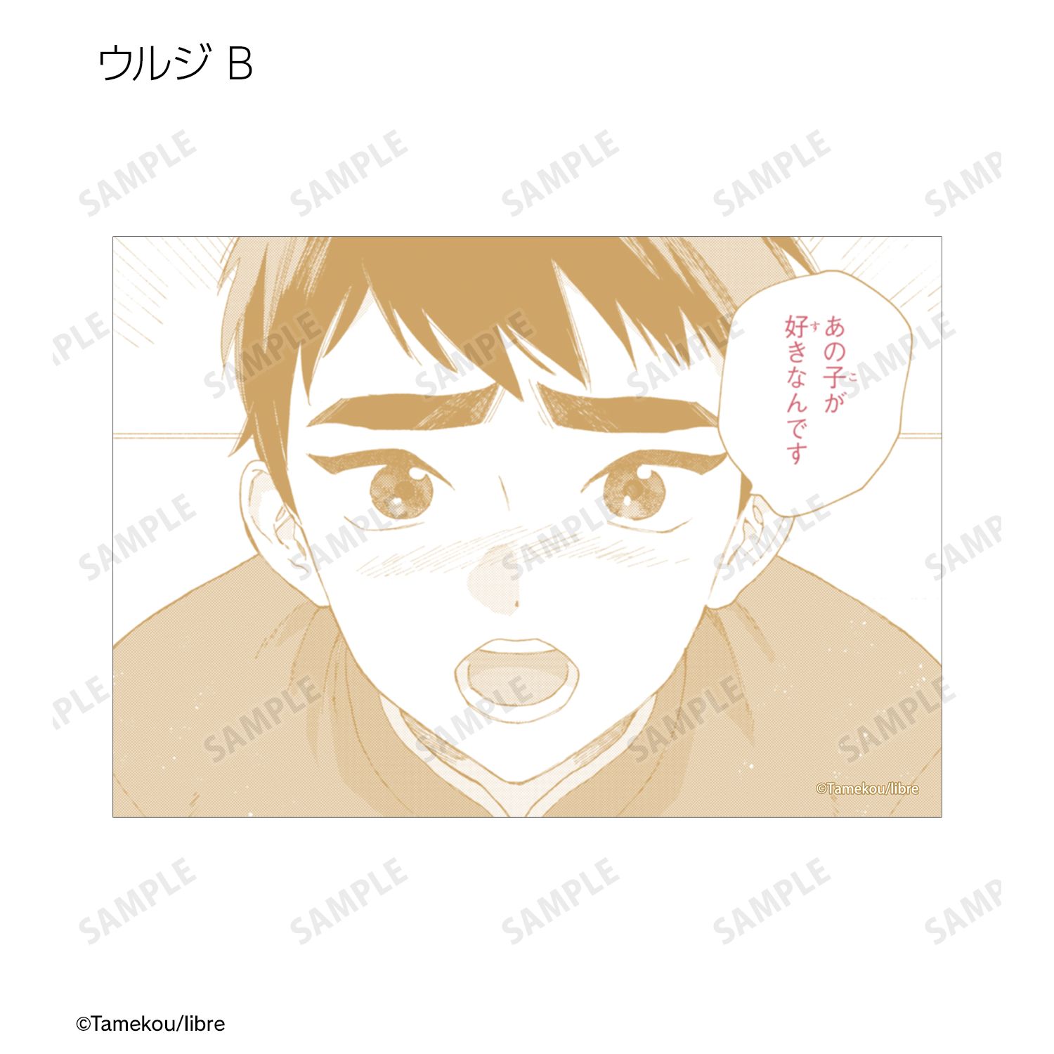 ララの結婚 トレーディングブロマイド(単位/単品) 图片 4 | AniSmile